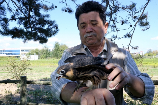 Delice doğanı Şakir ile sağlık teknisyeni Ayhan'ın dostluğu